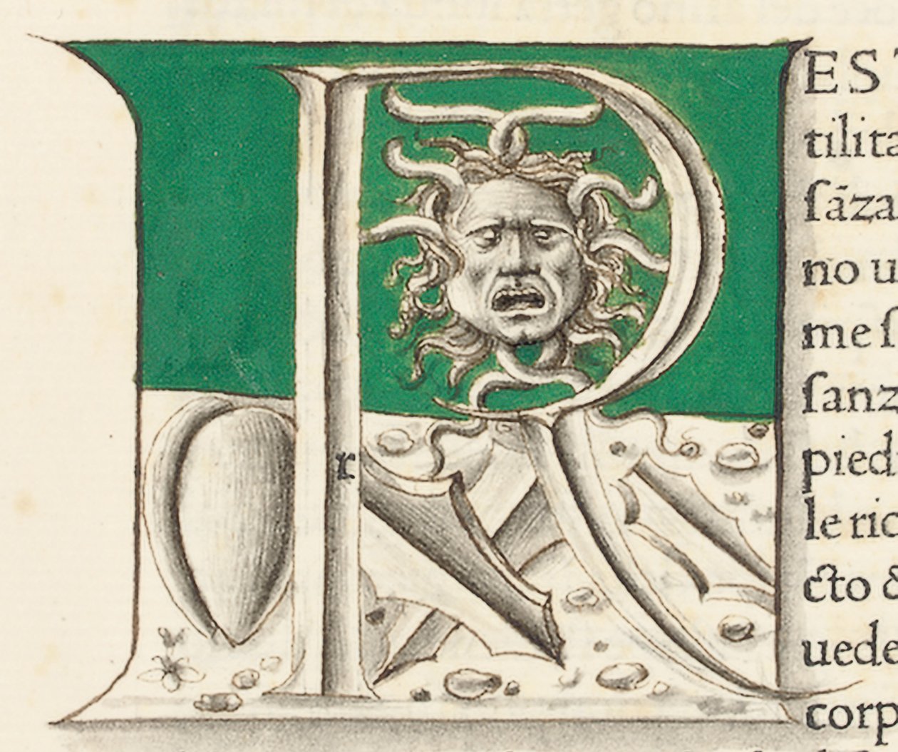 Fragment obrazu „Historia Naturalis” Pliniusza Starszego autorstwa Venetian School