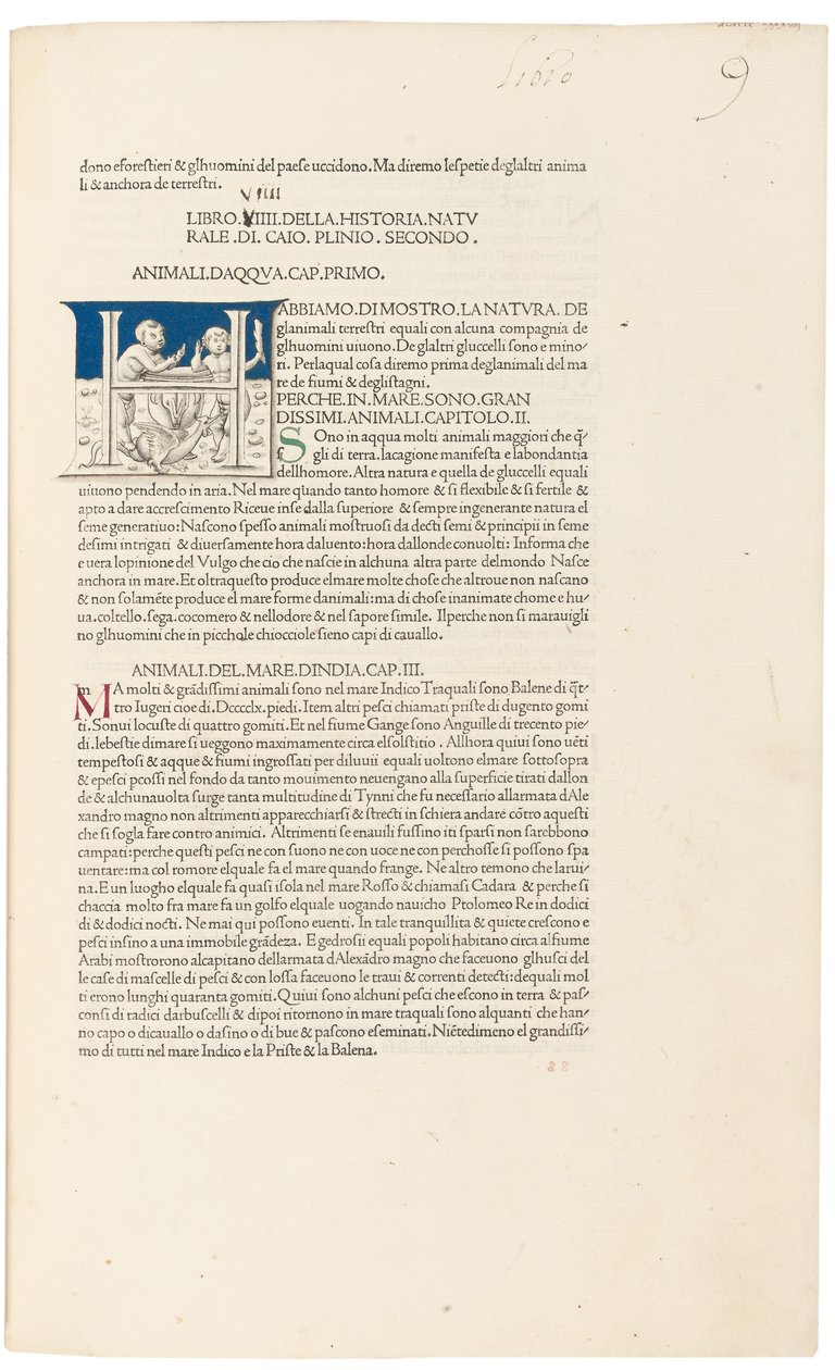 „Historia Naturalis” Pliniusza Starszego autorstwa Venetian School