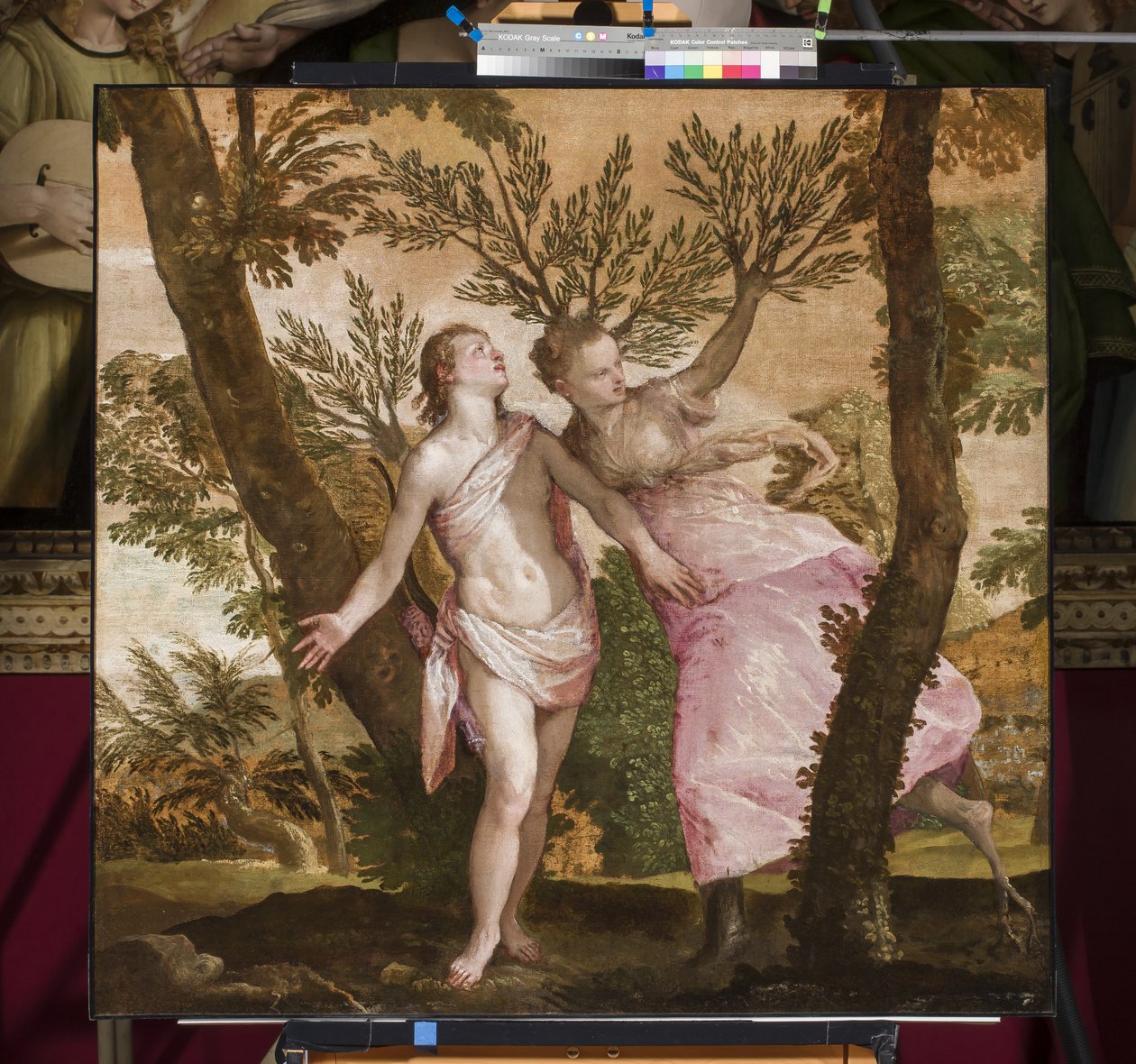 Apollo i Daphne, ok. 1560-65 autorstwa Paolo Veronese