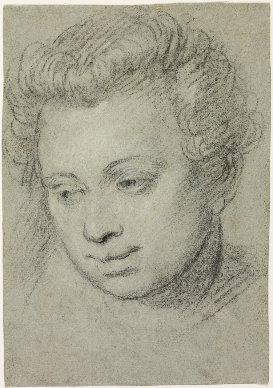 Głowa kobiety autorstwa Veronese (Paolo Caliari)