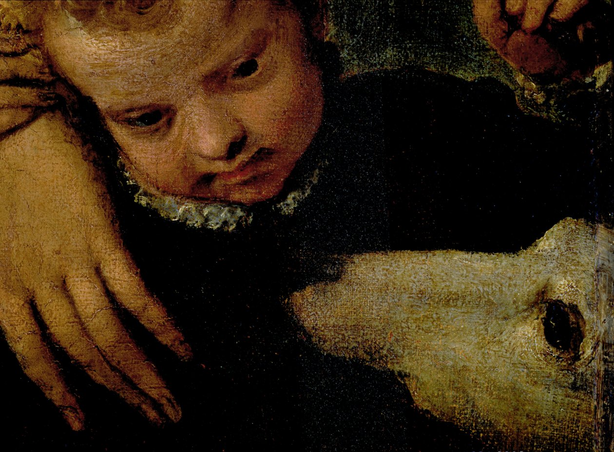 Portret kobiety z dzieckiem i psem, fragment głowy dziecka i psa olej na płótnie fragment 95739 autorstwa Paolo Veronese