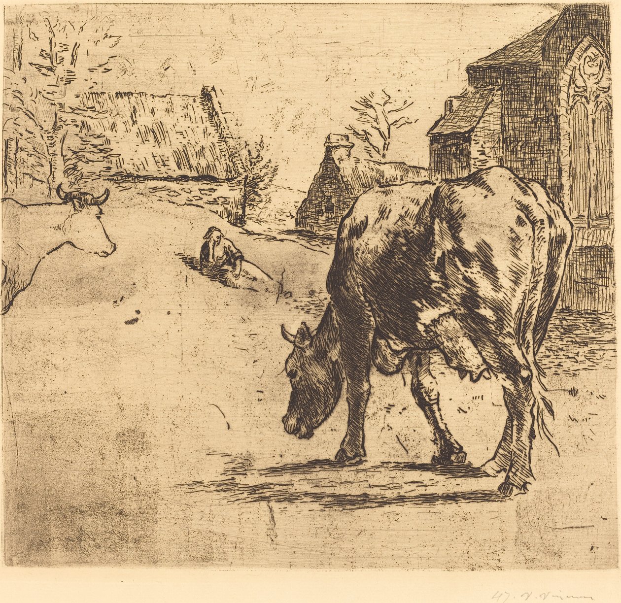 Krowa (La Vache) autorstwa Victor Alfred Paul Vignon