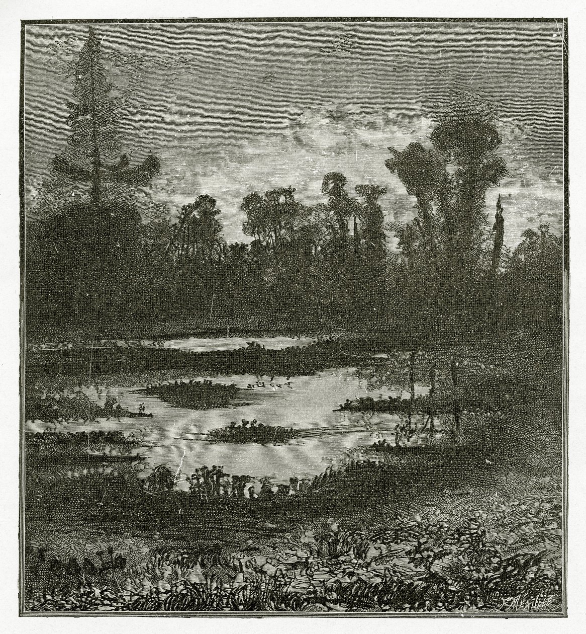Les Chants du Crépuscule, XIX w. (rycina bw) autorstwa Victor Hugo