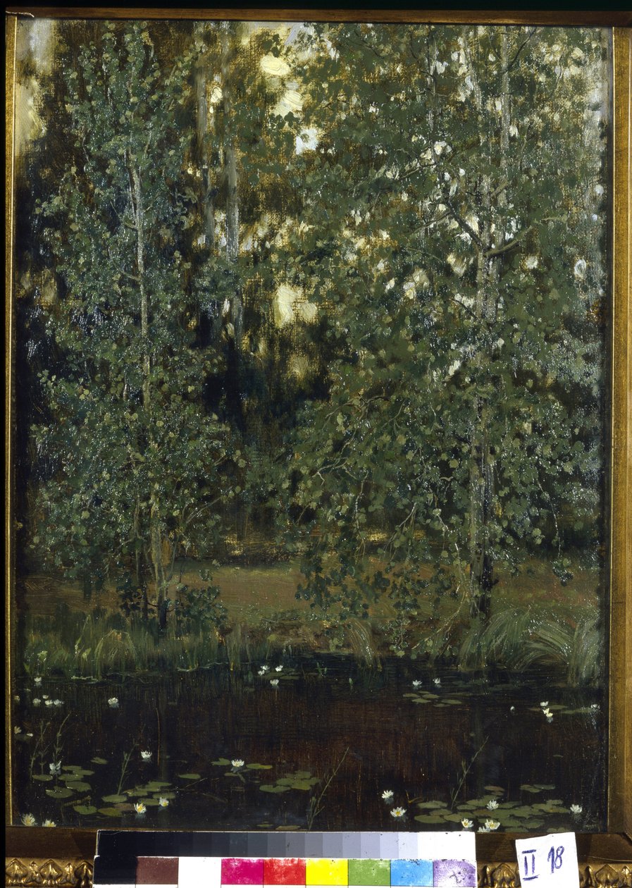 Staw w Achtyrce (lub Ochtyrka, Ukraina). Obraz Wiktora Michajłowicza Wasnetsowa (1848-1926), olej na płótnie autorstwa Victor Mikhailovich Vasnetsov