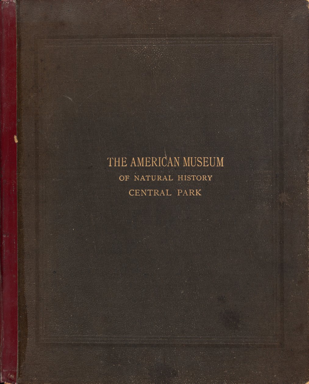 Album fotograficzny Amerykańskiego Muzeum Historii Naturalnej, Central Park, Nowy Jork autorstwa Victor Prevost, Gaston L. Feuardent and Co., New York