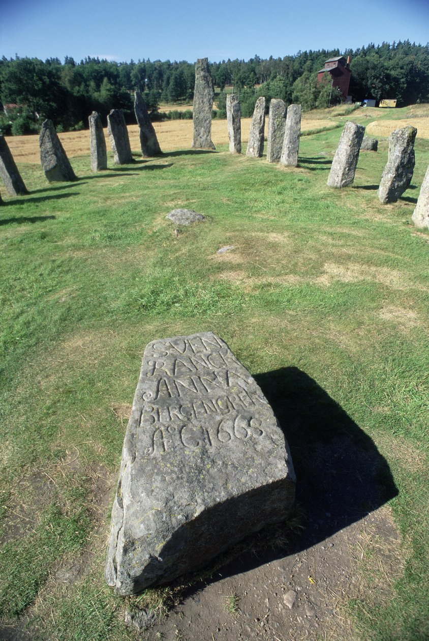 Ustawienie statku autorstwa Viking
