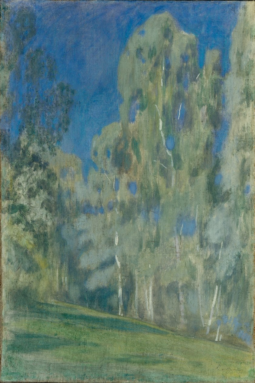 Brzozy w południe, 1903 autorstwa Viktor Elpidiforovich Borisov Musatov