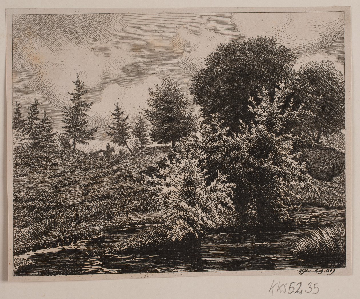 Wzgórza nad bagnami autorstwa Vilhelm Kyhn