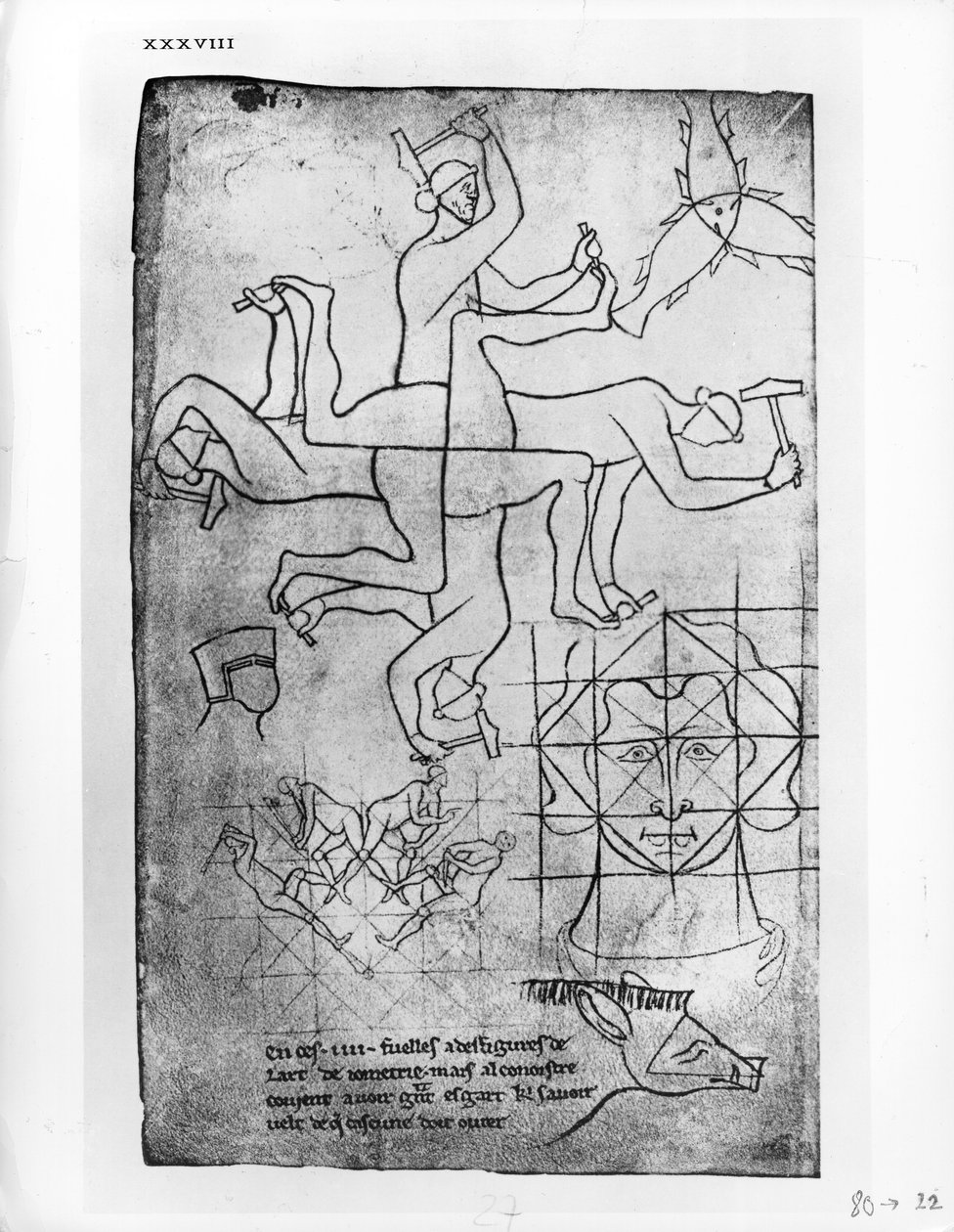 Faksymile pani Fr 19093 fol.19v Badania ludzi i zwierząt autorstwa Villard de Honnecourt