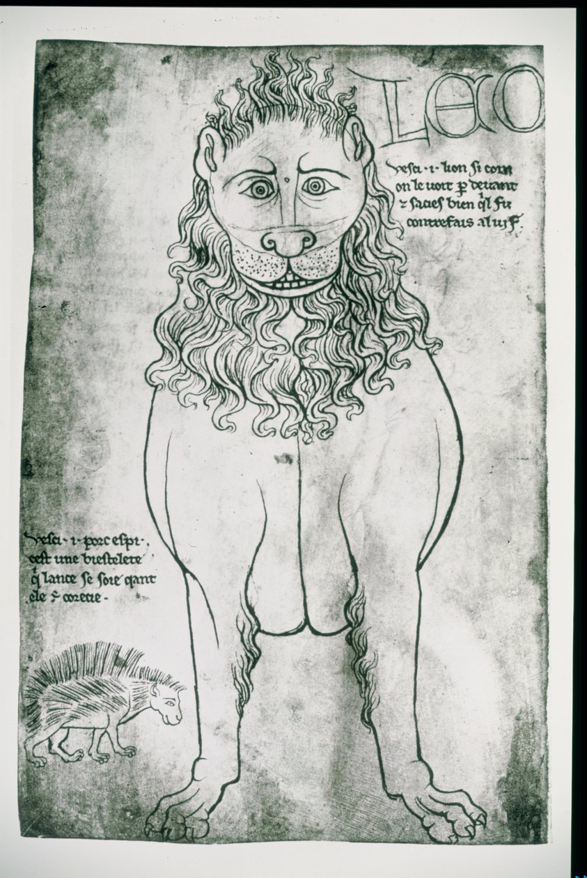 Pani Fr 19093 fol.24v Lew i jeżozwierz (faksymile) autorstwa Villard de Honnecourt