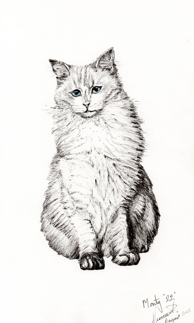Chłopiec, 2015, (tusz na papierze) autorstwa Vincent Alexander Booth