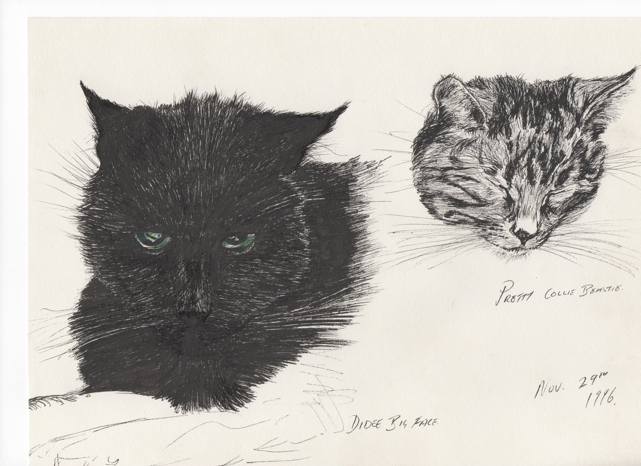 Diddybigface & colliebeastie, 1996, (tusz na papierze) autorstwa Vincent Alexander Booth