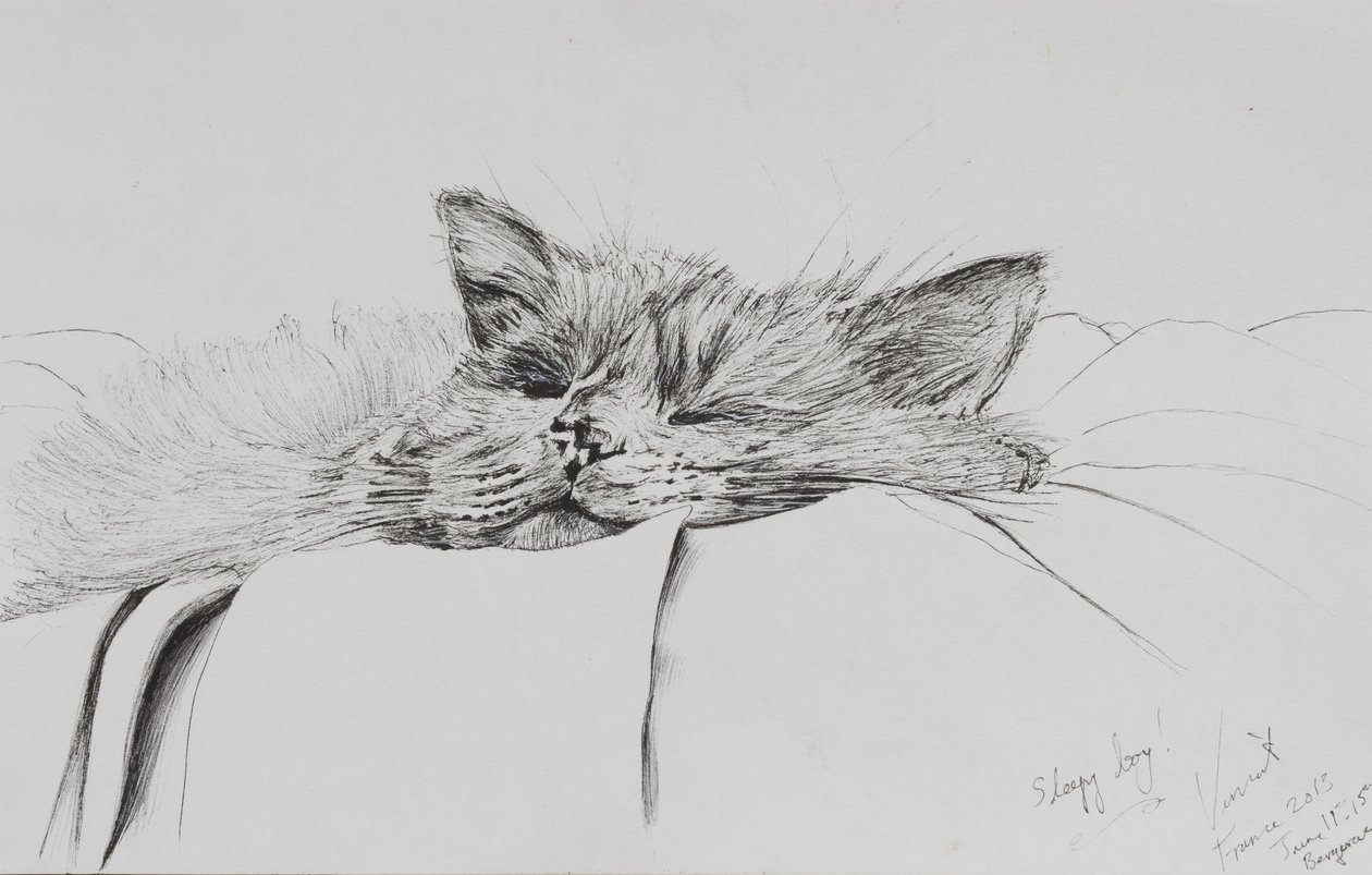 Monty śpiący chłopiec, 2013, (Tusz na papierze) autorstwa Vincent Alexander Booth