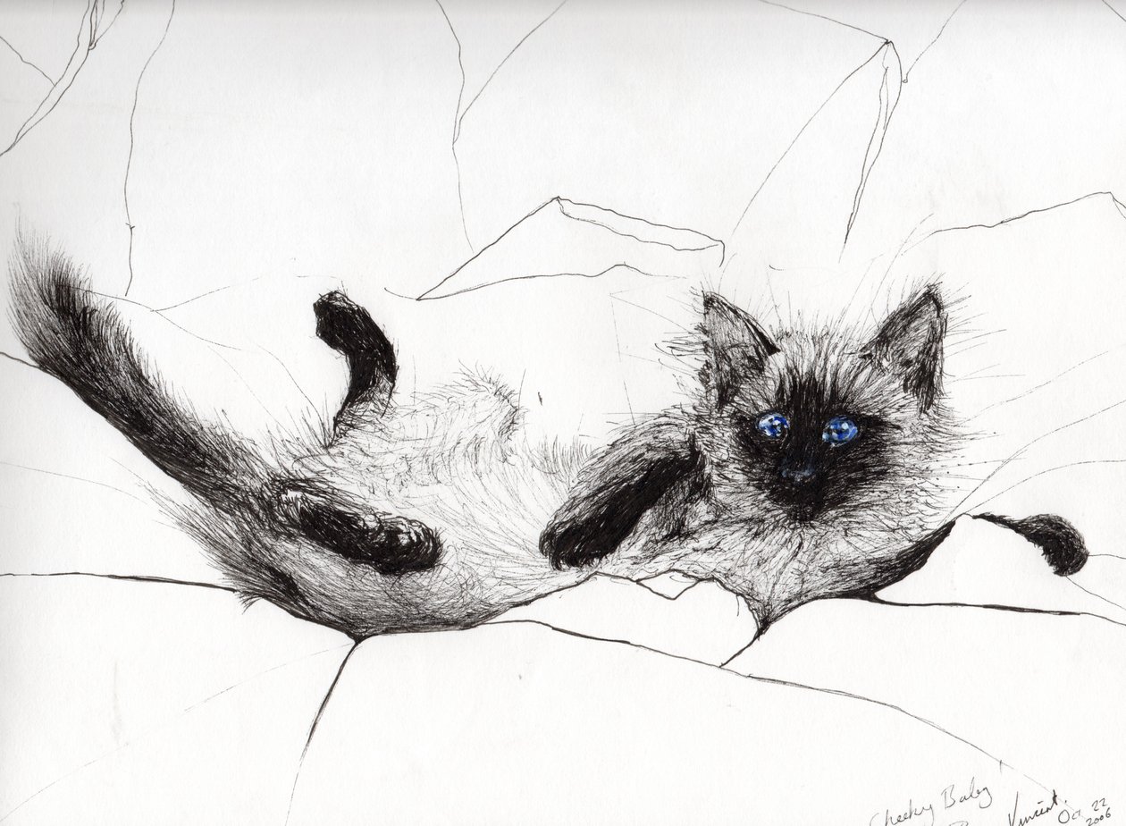Play baby, 2006, (tusz na papierze) autorstwa Vincent Alexander Booth