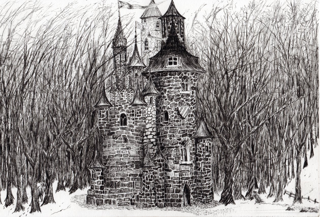 Zamek w lesie Findhorn, 2006, (tusz na papierze) autorstwa Vincent Alexander Booth