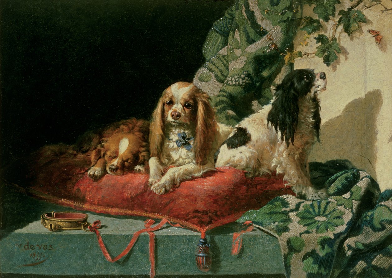 King Charles Spaniele autorstwa Vincent de Vos