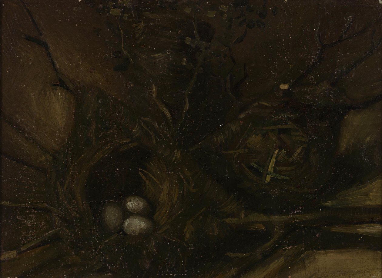 Gniazda ptaków autorstwa Vincent van Gogh