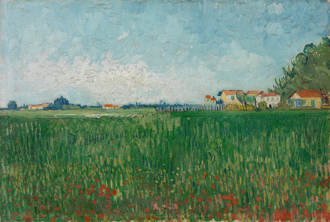 Pole z makami autorstwa Vincent van Gogh