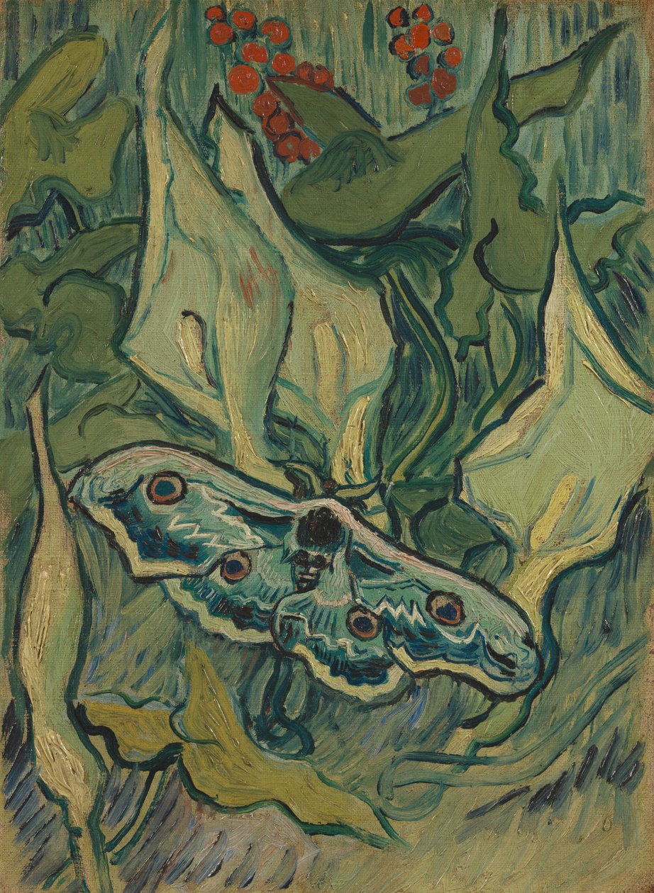 Olbrzymia ćma paw autorstwa Vincent van Gogh