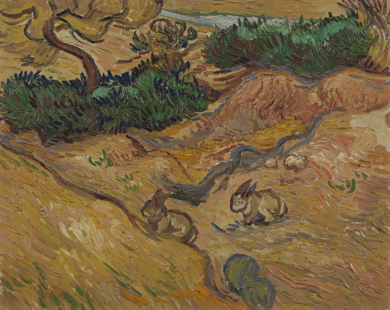 Krajobraz z królikami autorstwa Vincent van Gogh