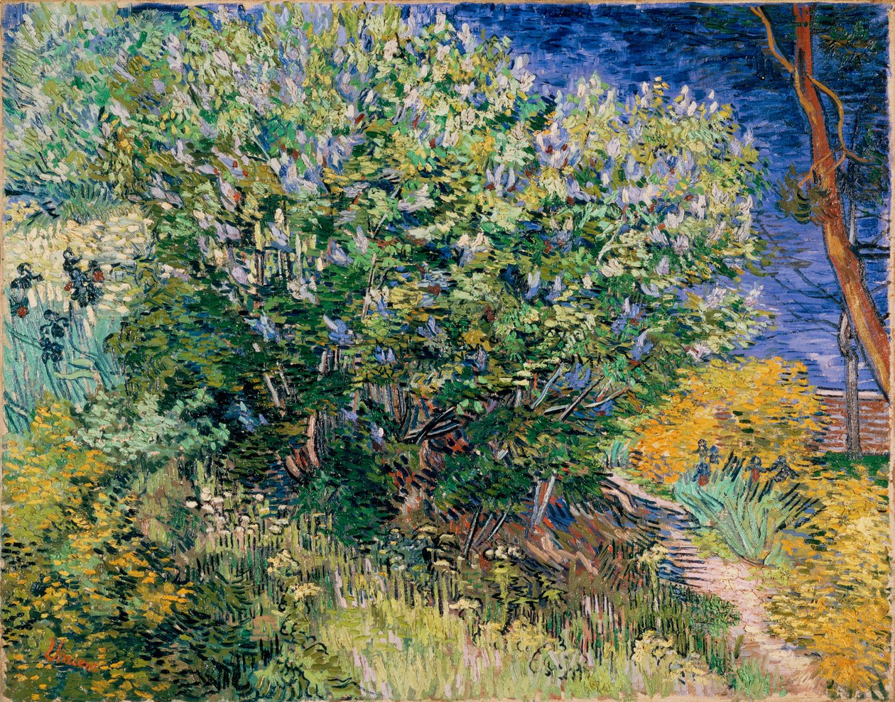 Krzew bzu (bzy) autorstwa Vincent van Gogh