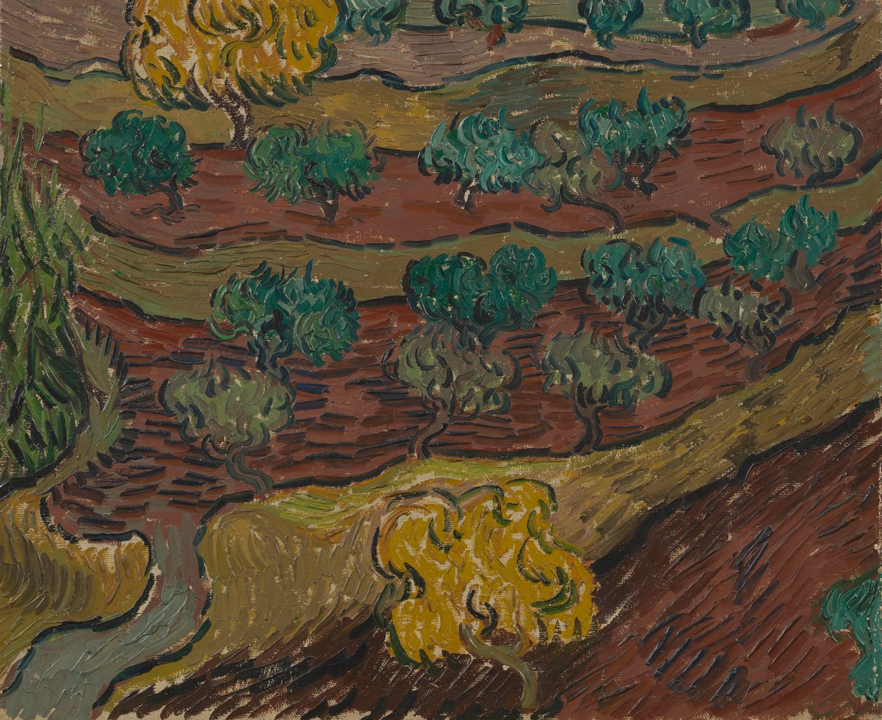 Drzewa oliwne na zboczu wzgórza autorstwa Vincent van Gogh