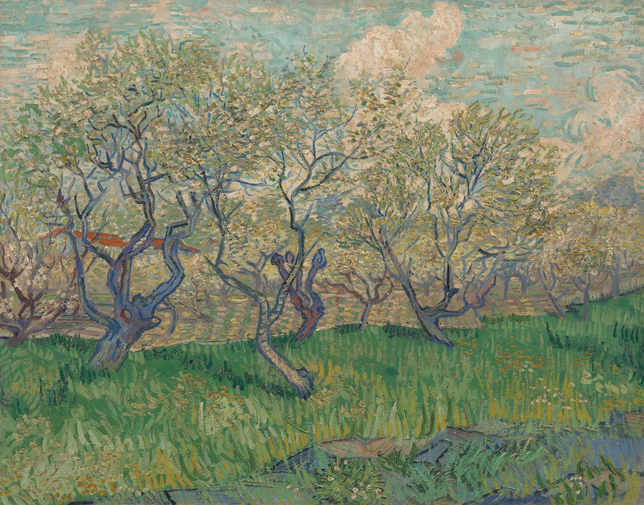 Sad w Kwiecie autorstwa Vincent van Gogh