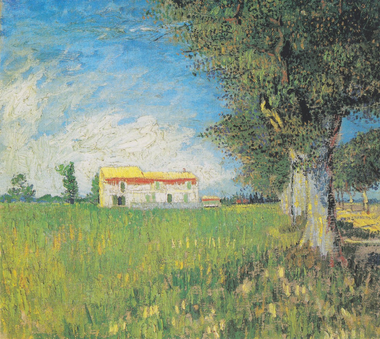 Dom wiejski na polu pszenicy autorstwa Vincent van Gogh
