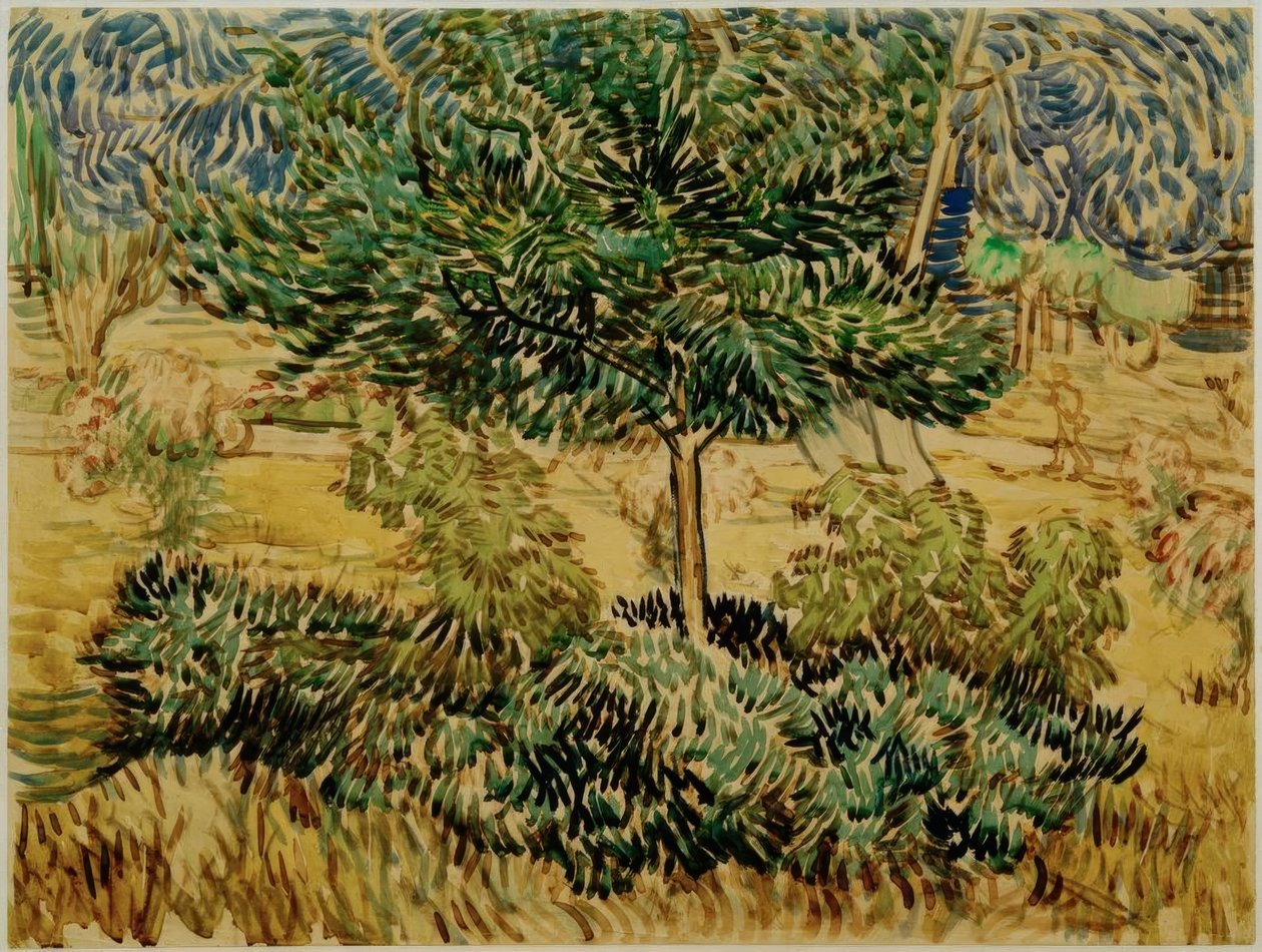 Drzewo i krzewy w ogrodzie sanatorium autorstwa Vincent van Gogh