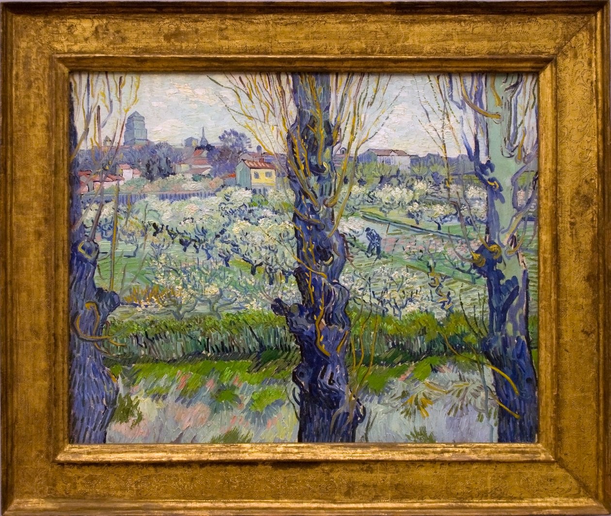 Widok na Arles autorstwa Vincent van Gogh