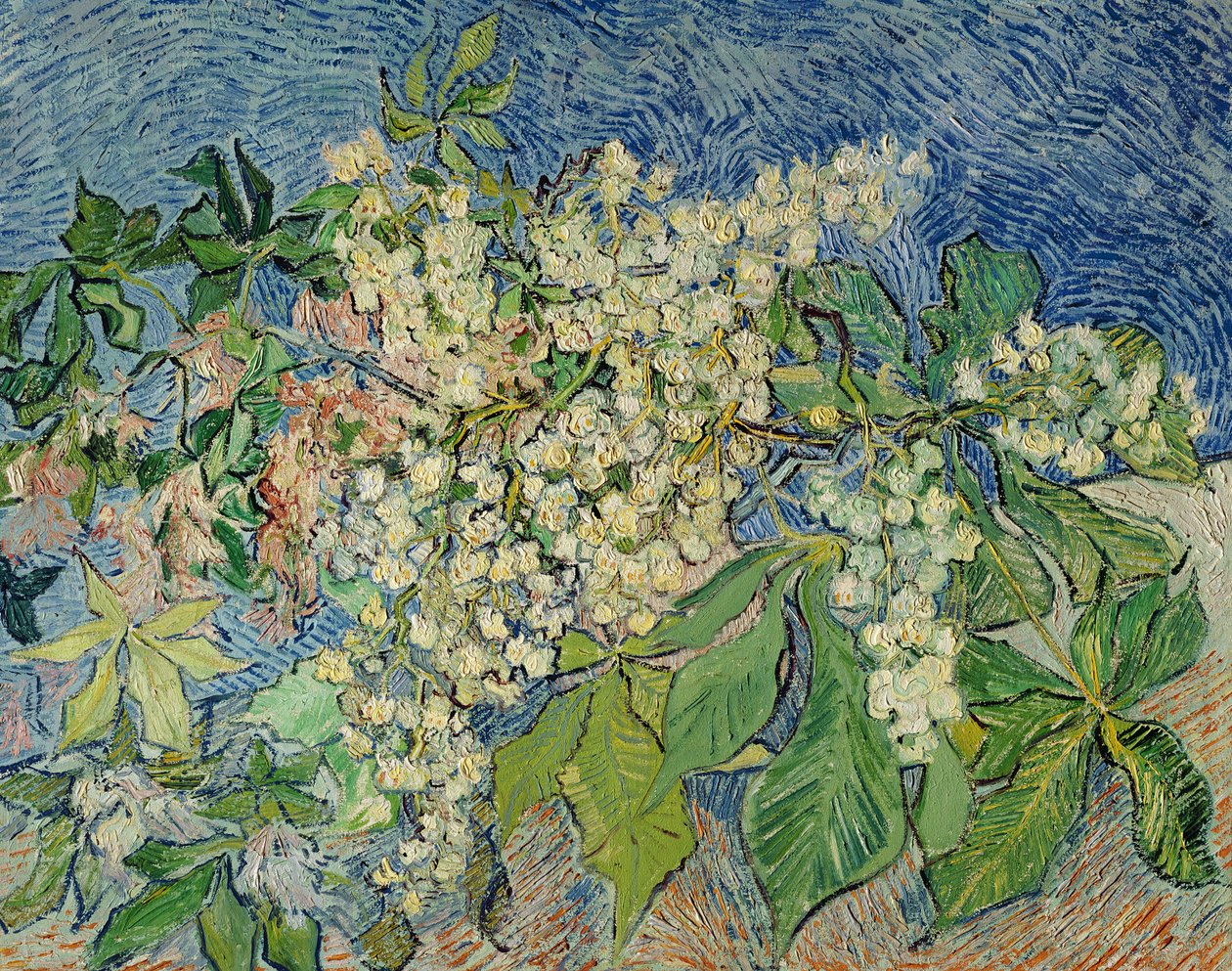 Kwitnące gałązki kasztanowca, 1890 autorstwa Vincent van Gogh