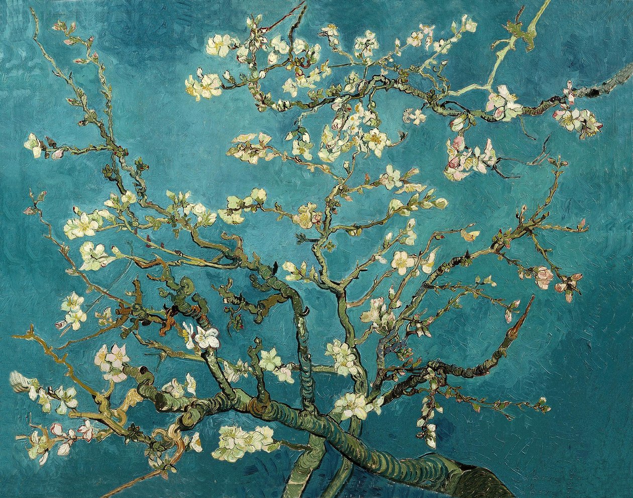 Kwiat migdałowca autorstwa Vincent van Gogh