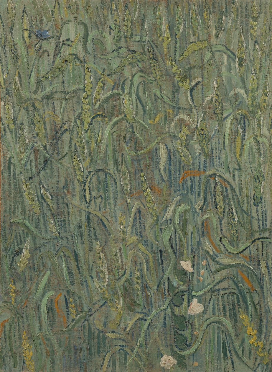 Kłosy Pszenicy autorstwa Vincent van Gogh