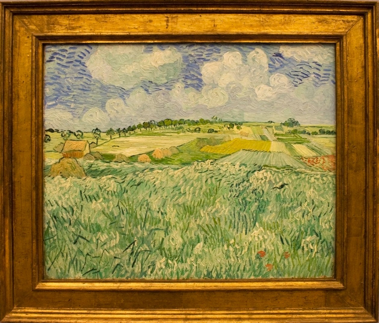 Poziom w Auvers autorstwa Vincent van Gogh