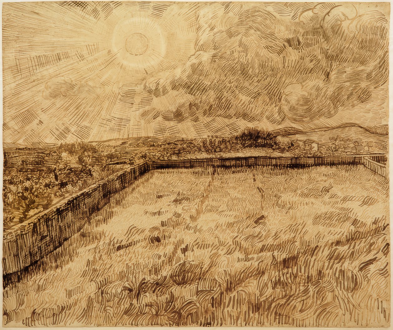 Pola i drzewa oliwne autorstwa Vincent van Gogh
