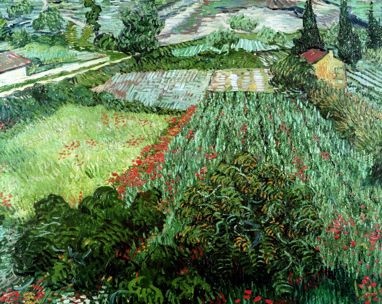 Pole z makami, 1889 autorstwa Vincent van Gogh