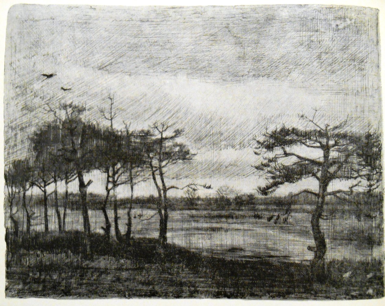 Jodły nad bagnem autorstwa Vincent van Gogh