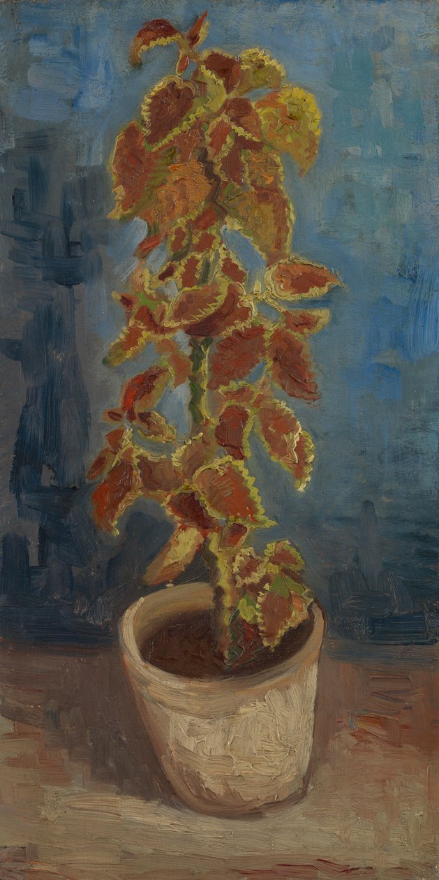 Pokrzywa ognista w doniczce autorstwa Vincent van Gogh