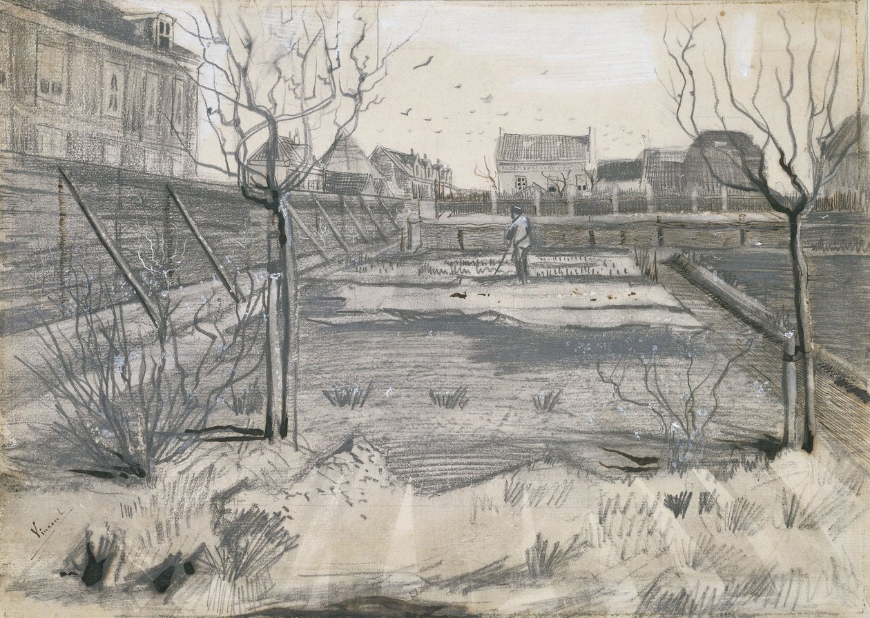 Szkółka Kwiatowa na Schenkweg w Hadze, 1882 autorstwa Vincent van Gogh