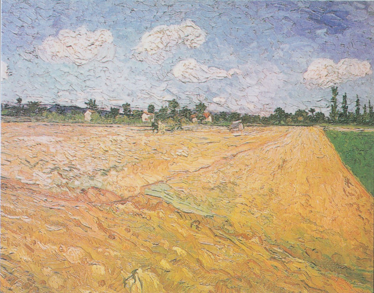Zaorane pole autorstwa Vincent van Gogh