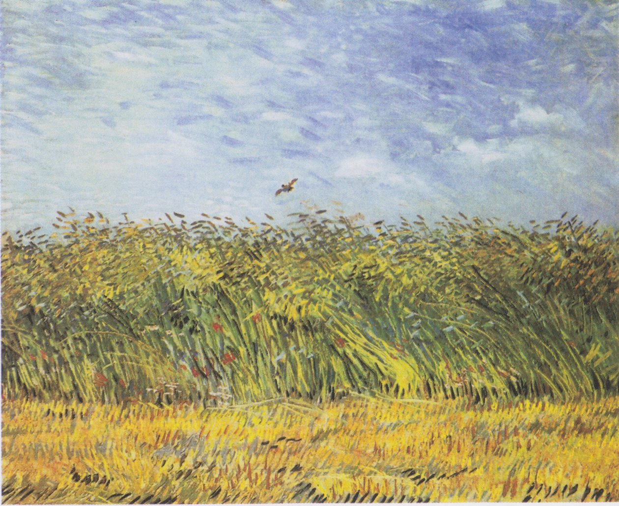 Pole zboża z makami i skowronkiem autorstwa Vincent van Gogh