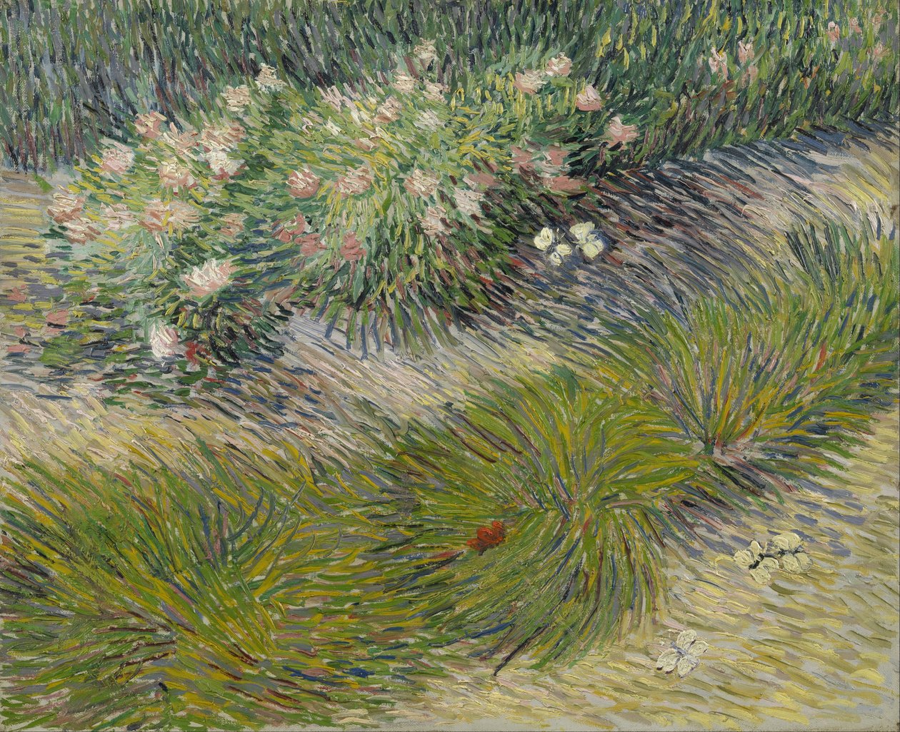 Trawa i motyle autorstwa Vincent van Gogh