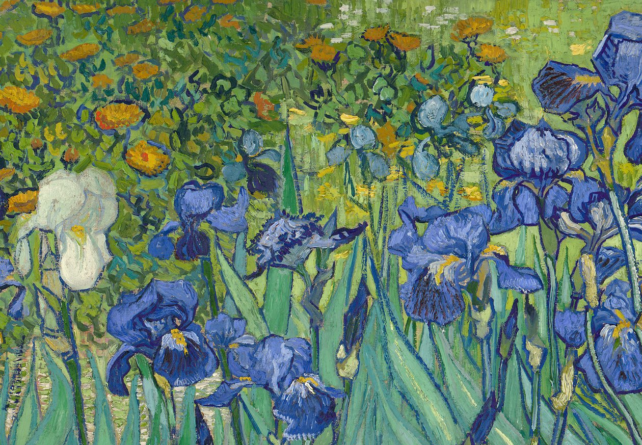 Irysy, 1889 (detal z 40070) autorstwa Vincent van Gogh