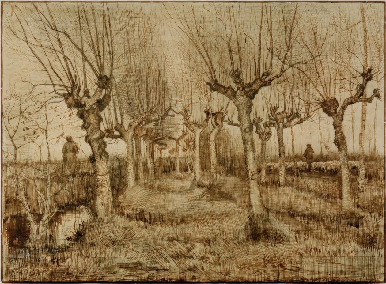 Wierzby ogładzone autorstwa Vincent van Gogh