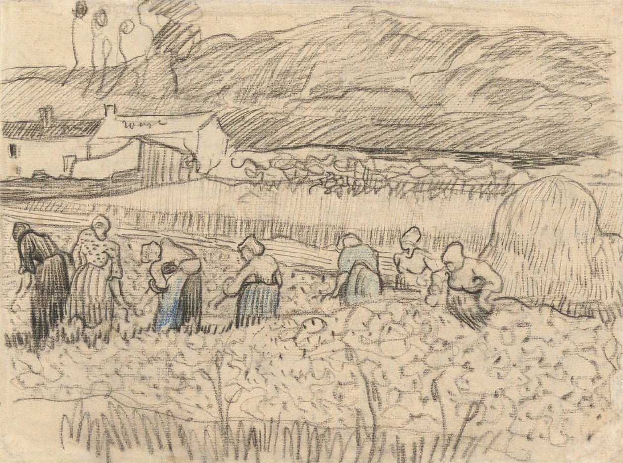 Krajobraz ze zbiorami chłopskich kobiet autorstwa Vincent van Gogh