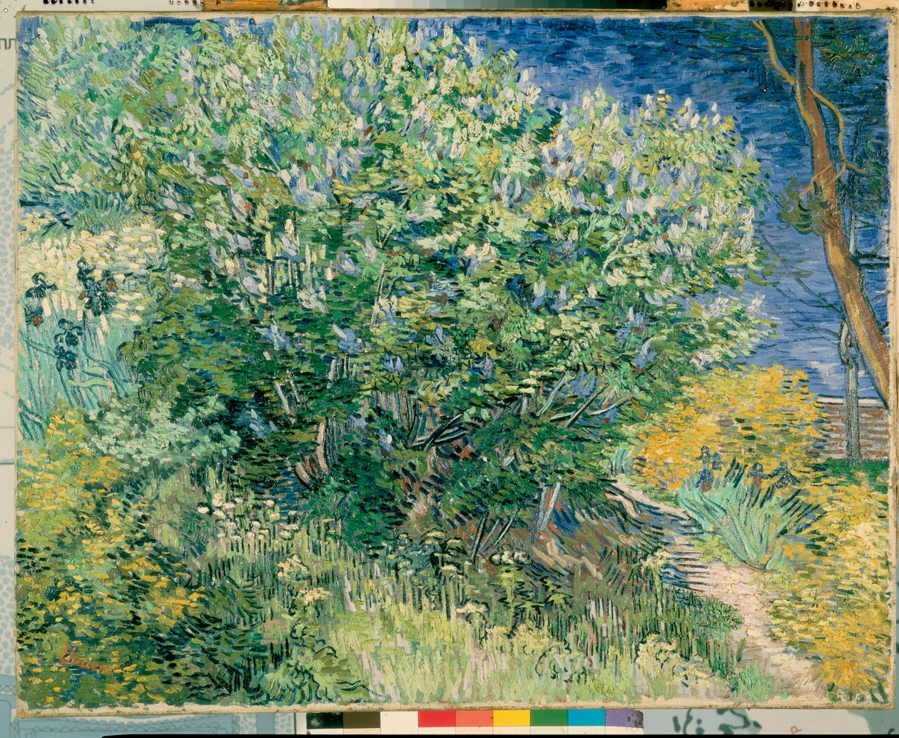 Krzak liliowy autorstwa Vincent van Gogh