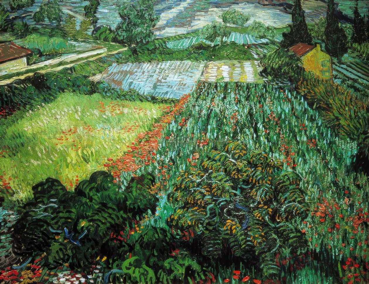 Pole maków autorstwa Vincent van Gogh