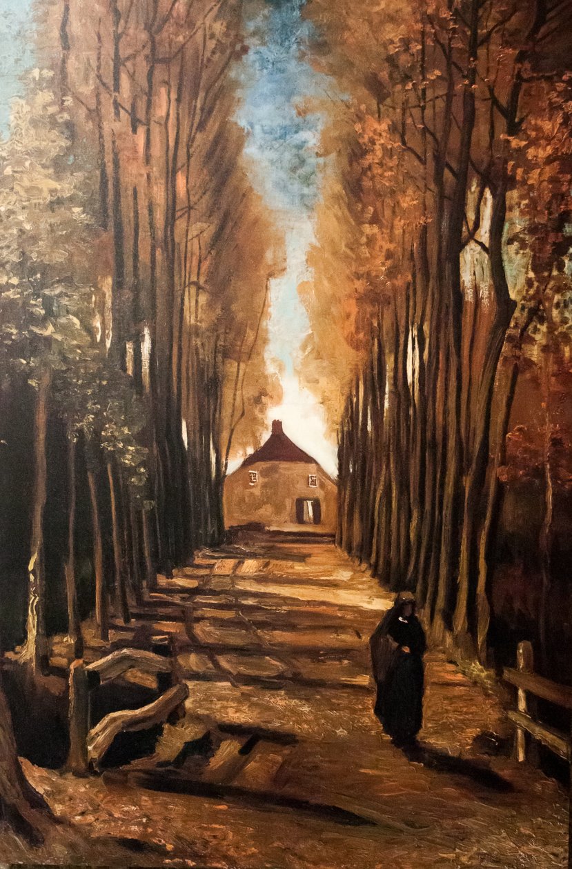 Mój sen autorstwa Vincent van Gogh