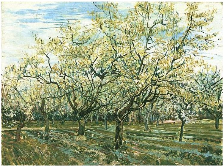 Sad z kwitnącymi śliwami autorstwa Vincent van Gogh