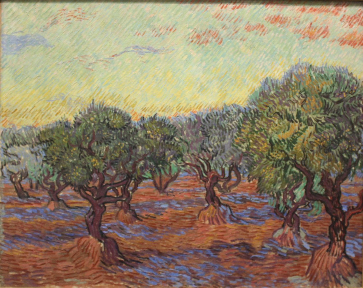 Gaj oliwny autorstwa Vincent van Gogh